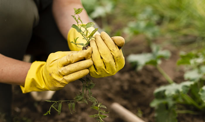 Terrasse Bois Sainghin en Mélantois – Construction d’une terrasse en bois exotique